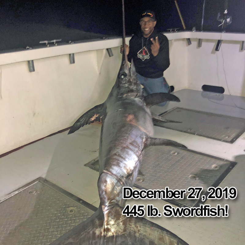 445lb. Swordfish caught aboard the Big Worm out of Virginia Beach December 27, 2019